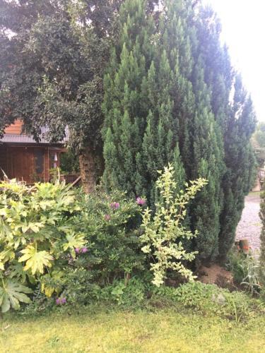 Lodge Caba�as Millant�