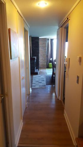 Apartamento Pucon Bordelago Departamento
