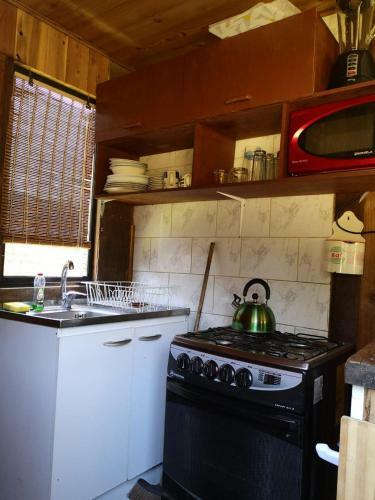Lodge Caba�a R�o Liucura