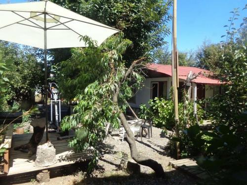 Hostal Bravo Puc�n Araucania