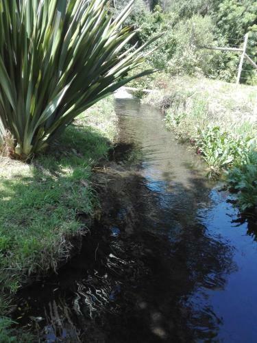 Agroturismo Caba�as Los Aromos