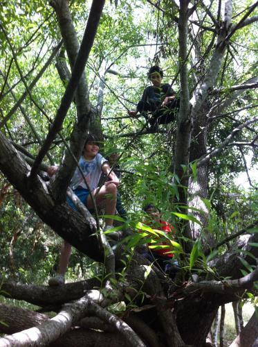 Lodge Caba�as Trancura