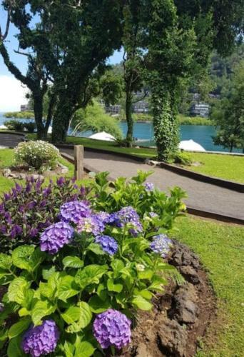 Preciosa Casa Con Playa Tw 501