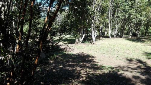 Caba�as Rustica Pucon R�o Trancura