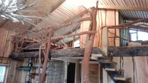 Caba�as Rustica Pucon R�o Trancura