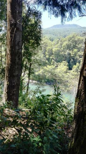 Caba�as Rustica Pucon R�o Trancura