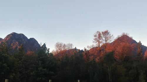 Vistas Del Volc�n