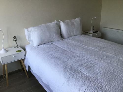 Apartamento Condominio Los Casta�os