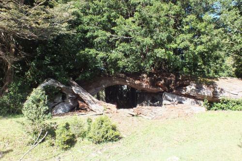 Lodge Caba�as Don Ruben