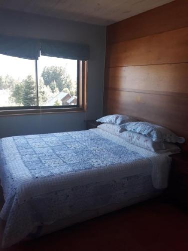 Casa En Puc�n Para 12