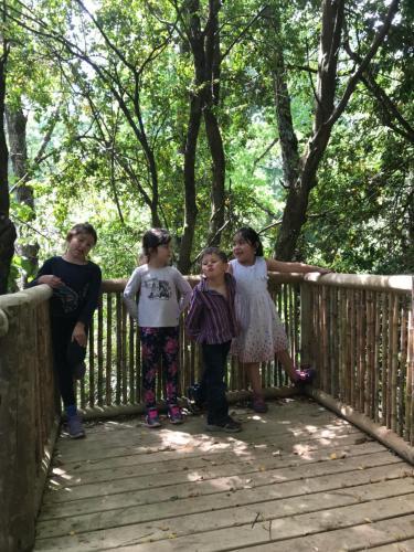 Caba�as Bosques De Loncotraro