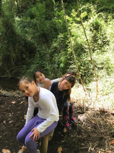 Caba�as Bosques De Loncotraro