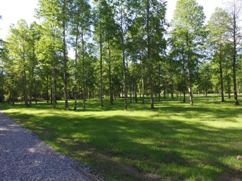 Ruka Camp