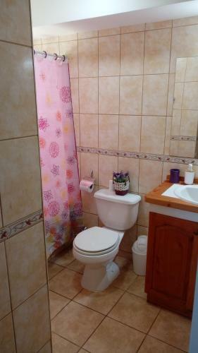 Apartamento Departamento Parque Suizo II Puc�n