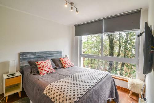 Apartamento Teresita Pucon Suite