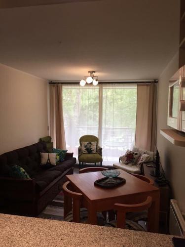 Apartamento Alojamiento Refugio Luna Puc�n