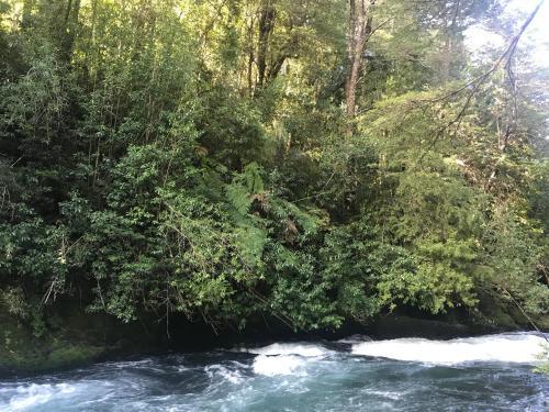 Kark� Lodge
