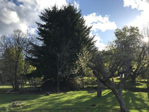 Kark� Lodge