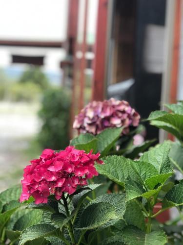 Lodge Caba�as Jardines De Oncol