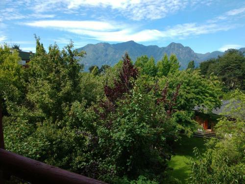 Apartamento Departamento Ideal En Centro De Pucon