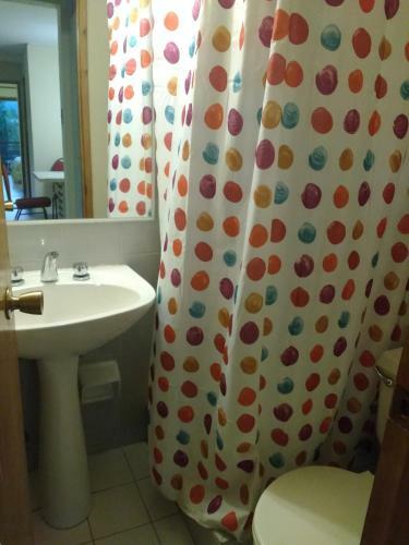 Apartamento Departamento Ideal En Centro De Pucon
