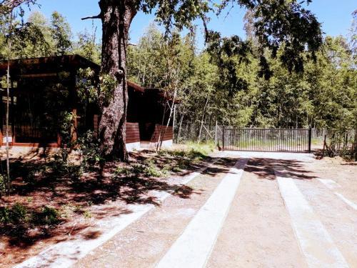 Hostal Caba�as Alma Lodge