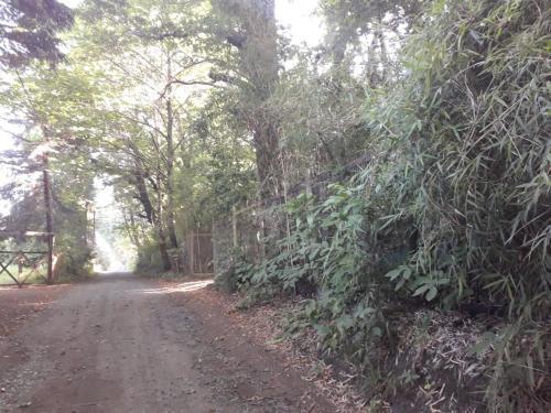 Hostal Caba�as Alma Lodge