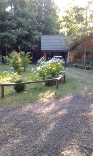 Ruca Magyar