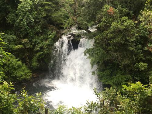 Trufulco-pucon