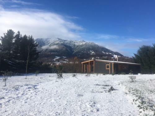 Trufulco-pucon