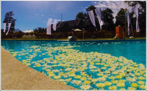 Casa Alicura 126