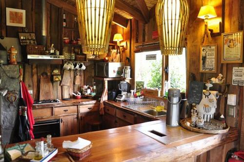 Bed & Breakfast San Lorenzo Lodge Pucon