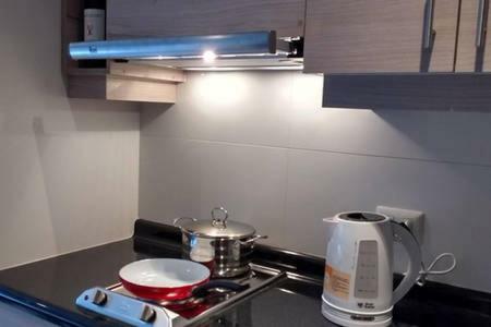 Puc�n/stgo. Downtown Apartments