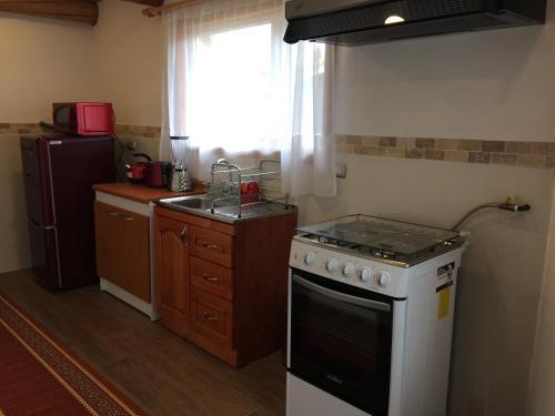 Apartamento Caba�as Chaya Mapu