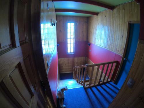 Albergue Profe Nelson