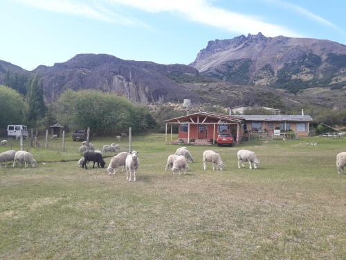 Hospedaje El Juncal