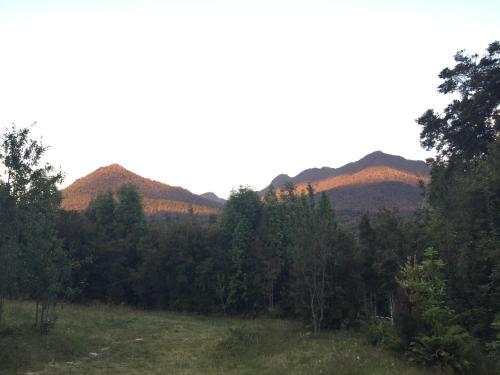 Lodge Refugio Austral - Alerce Andino