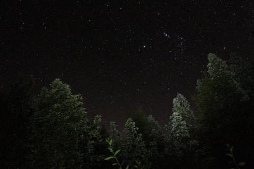 Lodge Refugio Austral - Alerce Andino
