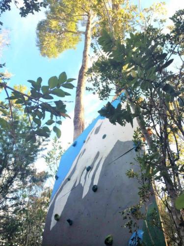 Lodge Refugio Austral - Alerce Andino
