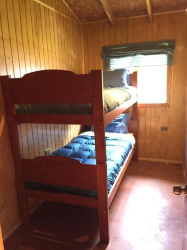Lodge Refugio Austral - Alerce Andino