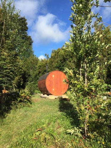 Lodge Refugio Austral - Alerce Andino