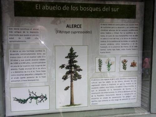 Lodge Caba�as Isidora Tepual