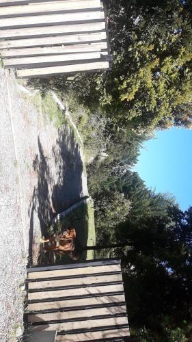 Lodge Caba�as Isidora Tepual