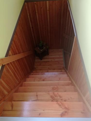 Apartamento Departamento Gimar Choroy