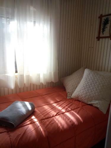 Lotus Shared-house