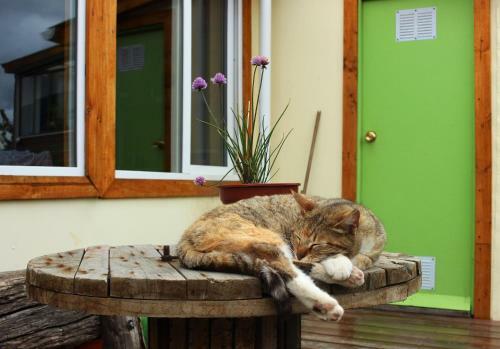 Corner Hostel Puerto Natales