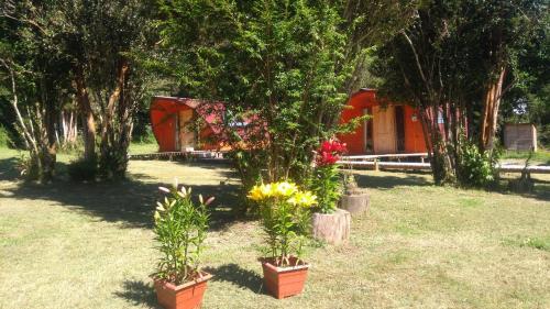 Lodge Eco Caba�as Wanderlust