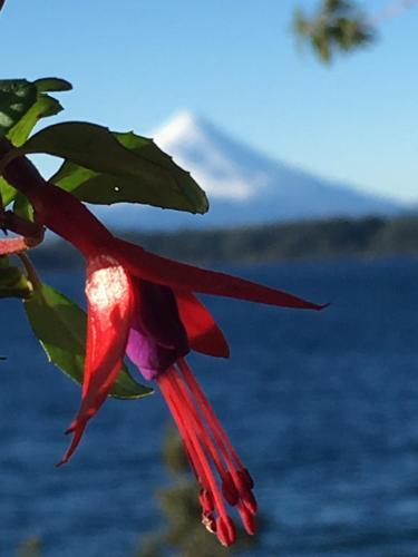 Lodge Caba�as Puerto Chalhuaco