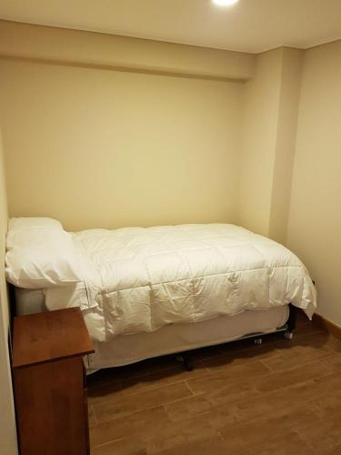 Apartamento Arriendo Departamento En Puerto Varas