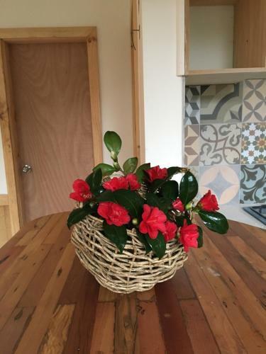 Lodge Almabosque Caba�as